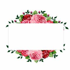 10 Adet Yapışkanlı A 4 Parlak Fotoğraf Kağıdı Çeyiz Kolisi Etiketi Sticker