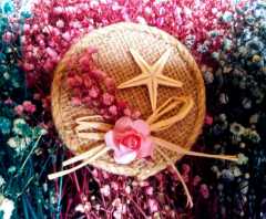 100 Adet Mıknatıs lı  Deniz Yıldızlı Hasır Magnet KREM