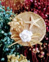 100 Adet Mıknatıs lı  Deniz Yıldızlı Hasır Magnet KREM