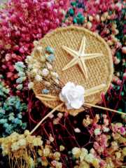 100 Adet Mıknatıs lı  Deniz Yıldızlı Hasır Magnet KREM