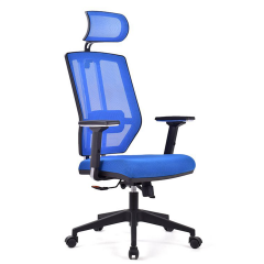 Sera Mavi Fileli Pls Makam Ofis Koltuğu