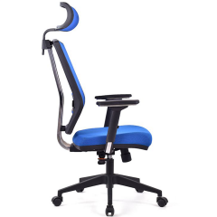 Sera Mavi Fileli Pls Makam Ofis Koltuğu