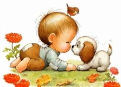 10 Adet Hediyelik Kedi Köpek  Maması  Sokak Hayvanları Mama Hediye Paketi