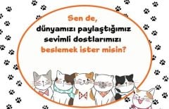 10 Adet Hediyelik Kedi Köpek  Maması  Sokak Hayvanları Mama Hediye Paketi