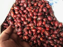 Hediyelik Yeşil Çay Papatya Hibüsküs Lavanta Çayı Mantar Tıpalı Kare Cam Şişe Bitki Çayı