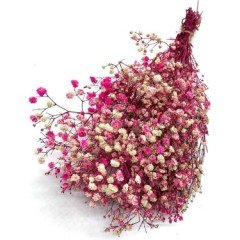 10 Adet Mıknatıslı Hediyelik Jut Kumaşta Kurtulmuş Çiçekler