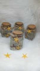 10 Adet Kare Cam Şişede Deniz Yıldızlı  Deniz Kumlu  Jel Mum