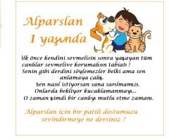 10 Adet Hediyelik Küçük Dostlarımız İçin Kedi Köpek Maması