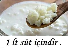 1 LT Sür İçin Kafkas Süt Kefir Mayası