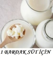 1 LT Sür İçin Kafkas Süt Kefir Mayası